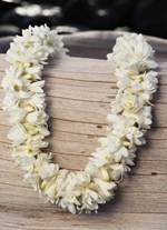 double tuberose lei